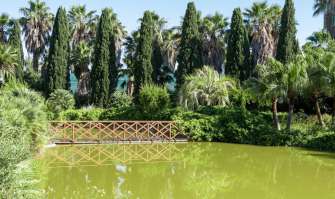 Laghetti, piante tropicali e are parlanti: alle porte di Bari c'� l'orto botanico Giardino dei tempi